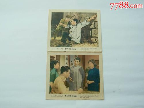 学历证书电子注册备案表验证码在哪里